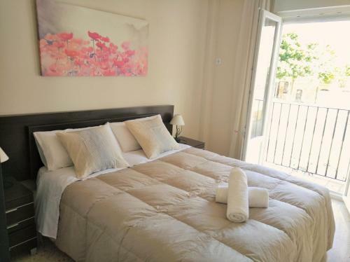 Apartamento Plaza Compa�ia Jerez