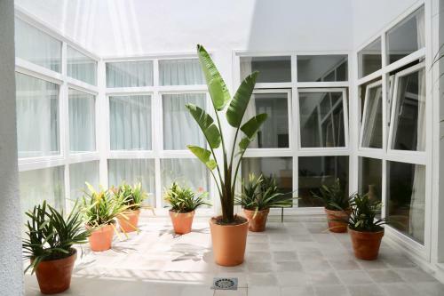 Apartamento Entre Bodegas Jerez