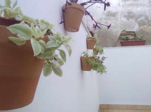 Apartamento Palo Cortao