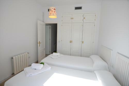 Apartamento Plaza Alfonso S�nchez Ferraj�n