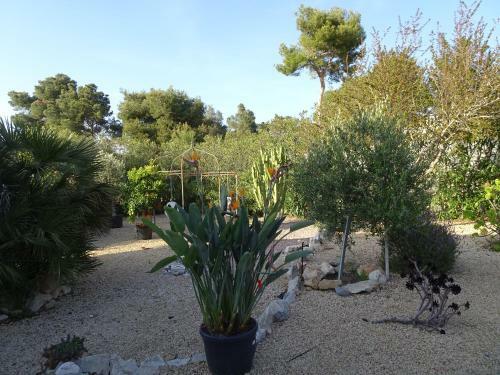 Casa Andalus Holiday Villa