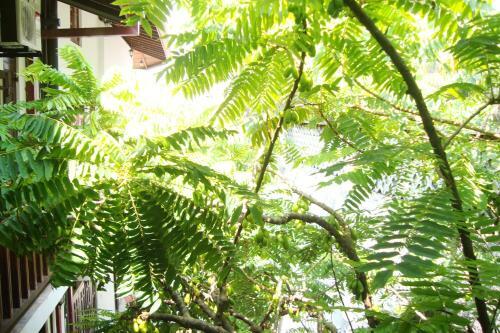 Hostal Southern Comforts - Galle Fort