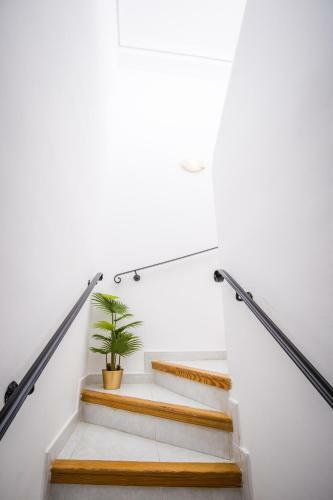 Apartamento Casa Mandala