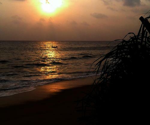 The Bungalow Randiya