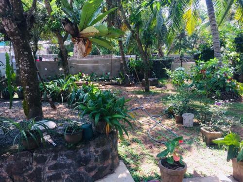 Bed & Breakfast Room One Dadalla