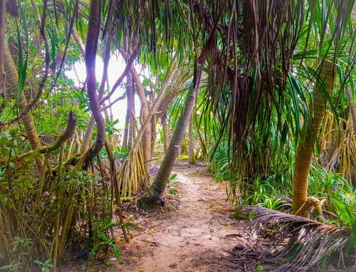 Hikkaduwa Backyard Beach Homestay