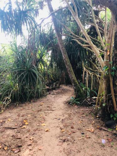 Hikkaduwa Backyard Beach Homestay