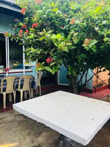Hikkaduwa Backyard Beach Homestay