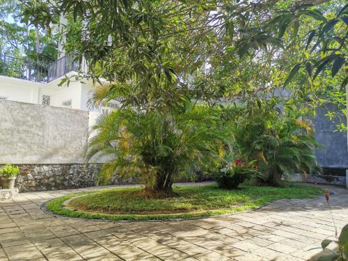 Villa Caroline