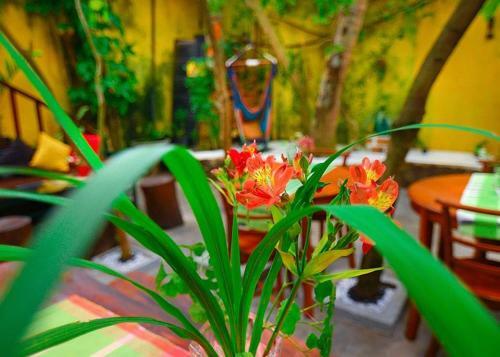 Hotel Villa Yehinsa - Galle Fort