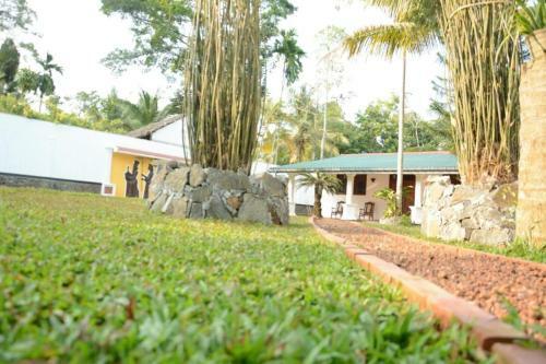Apartamento New Greenish Villa