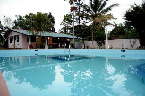 Apartamento New Greenish Villa