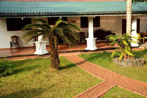 Apartamento New Greenish Villa