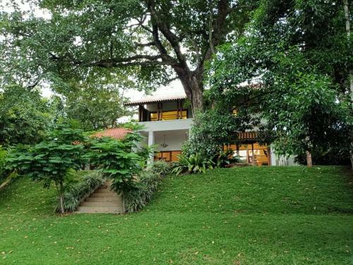 Bed & Breakfast Baheda House