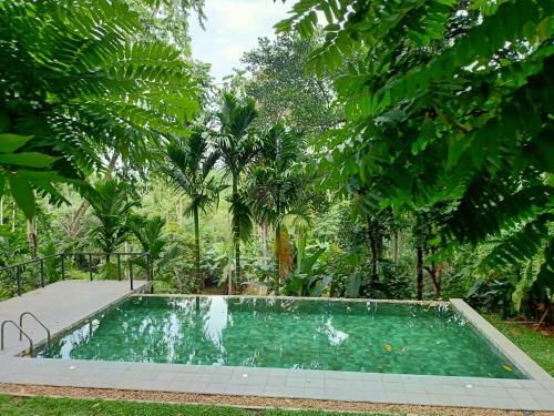 Bed & Breakfast Baheda House