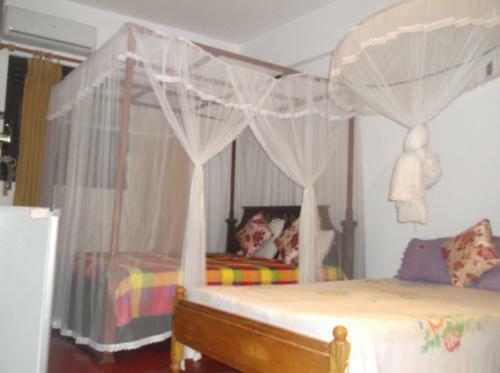 Hostal White Flower Gust Hose In Unawatuna