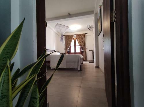 Apartamento Mango House