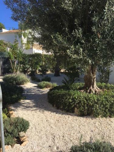 Villa Los Almendros