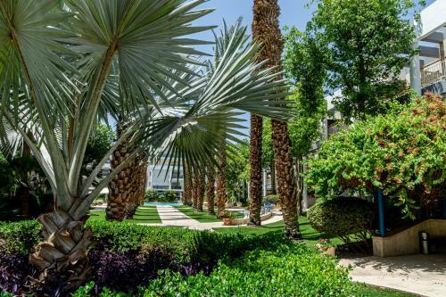 Apartamento ???? ?? ???? ?????? - Pool Garden View