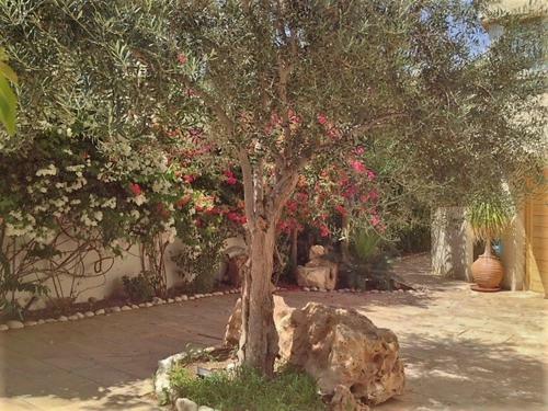 Villa Loft With Pool 20m Length Heated , 300m From Sea