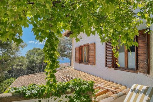Bed & Breakfast Villa Dora (only Adults)