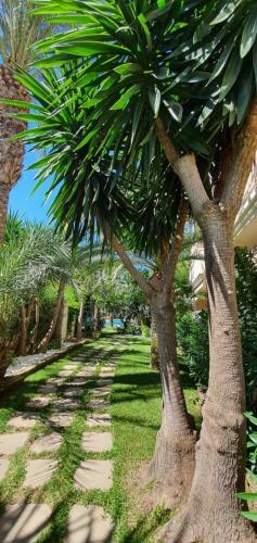 Apart. Nou Fontana - Javea