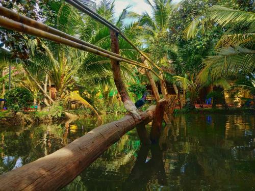Lodge Carot Homestay Ti?n Giang
