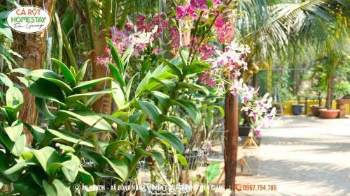 Lodge Carot Homestay Ti?n Giang