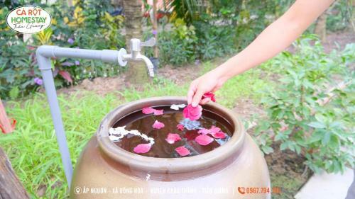 Lodge Carot Homestay Ti?n Giang