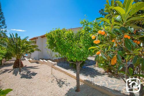 Abahana Villas Puerto Blanco