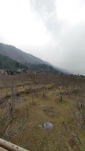 Jugni's Homestay