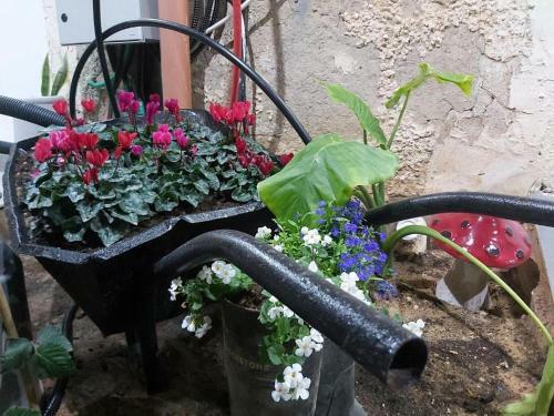 Hostal Mediterranean Inn Gavish ??? ??? ?????? ????