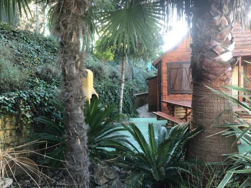 Agroturismo Caba�as De Madera Y Bungalows - Gilma�as 3