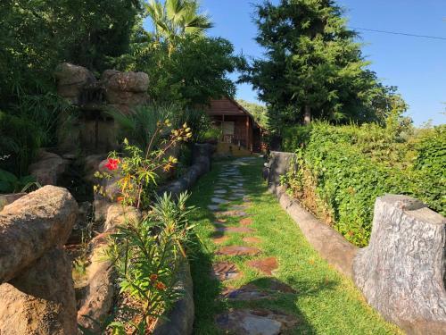 Agroturismo Caba�as De Madera Y Bungalows - Gilma�as 3