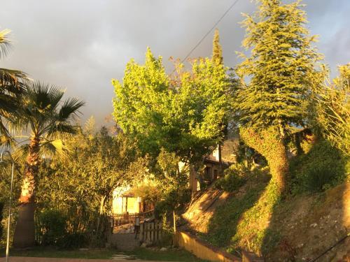 Agroturismo Caba�as De Madera Y Bungalows - Gilma�as 3