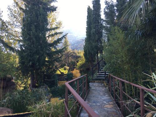 Agroturismo Caba�as De Madera Y Bungalows - Gilma�as 3