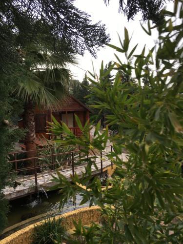 Agroturismo Caba�as De Madera Y Bungalows - Gilma�as 3