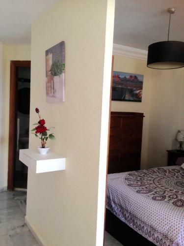 Apartamentos Vista A Tres Continentes