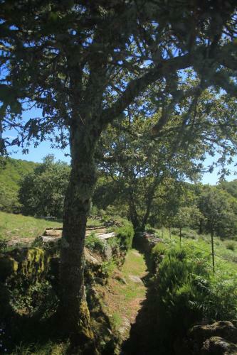 O Xard�n Da Fraga