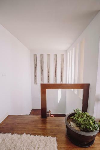 Casa Del Mediterr�neo
