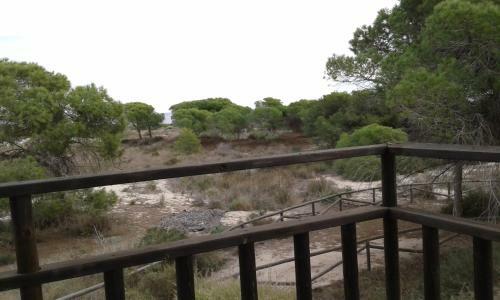 Holiday Apartment La Marina - Elche