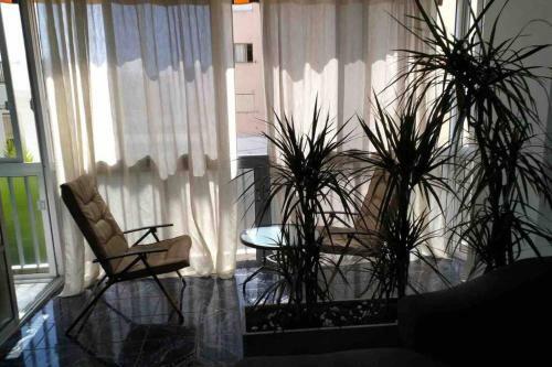 Apartamento A 10 Metros De La Playa