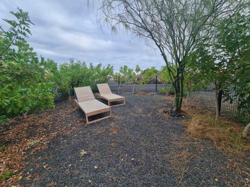 Apartamento Volcano House Origo Mare