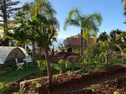 Apartamento Ferienwohnung Finca Monica