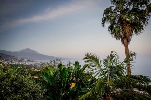 Apartamento Ferienwohnung Finca Monica