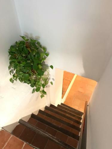 Tinao De Las Alc�ntaras