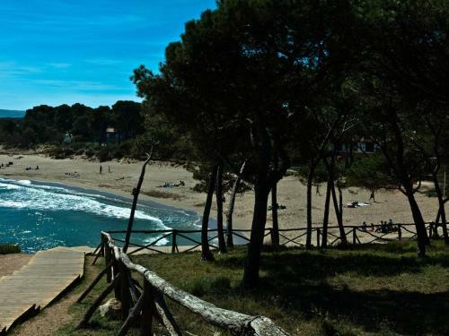 Apartamento Frente Al Mar-wifi Free