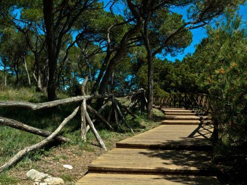 Apartamento Frente Al Mar-wifi Free