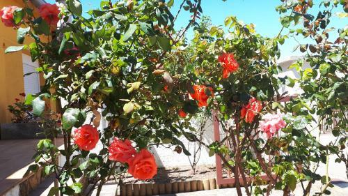 Casa Els Rosers Wifi