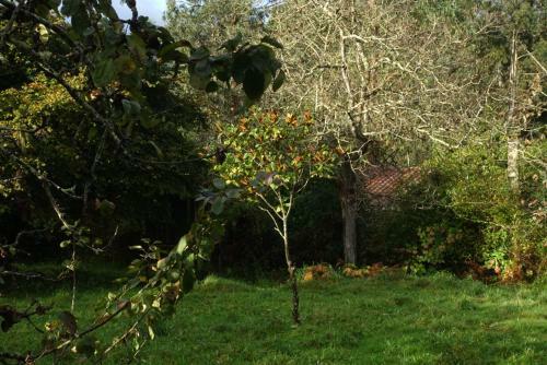 Villa Country House In La Pereda (Llanes)